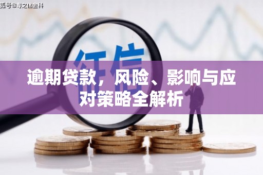 温州逾期贷款，风险、影响与应对策略全解析