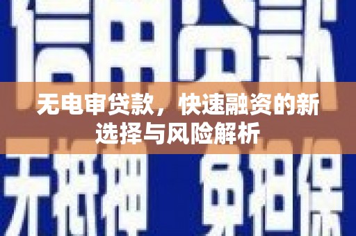 温州无电审贷款，快速融资的新选择与风险解析