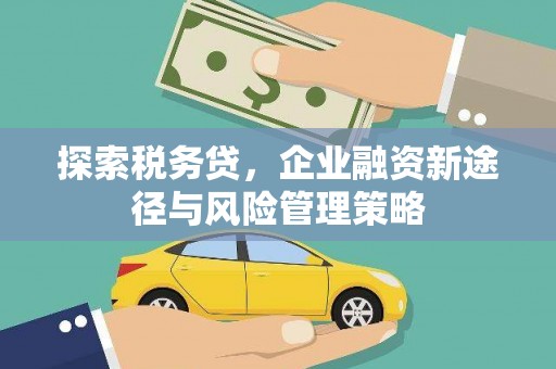 温州探索税务贷，企业融资新途径与风险管理策略