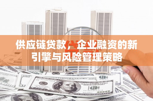 温州供应链贷款，企业融资的新引擎与风险管理策略