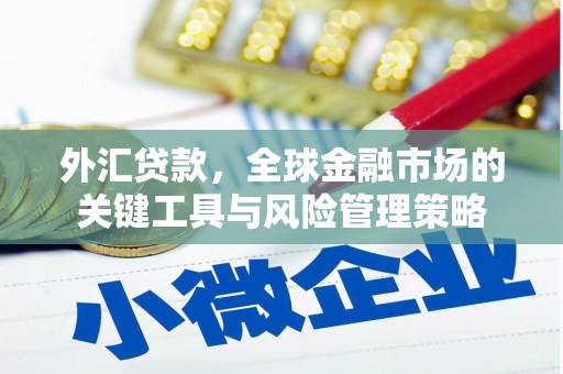 温州外汇贷款，全球金融市场的关键工具与风险管理策略