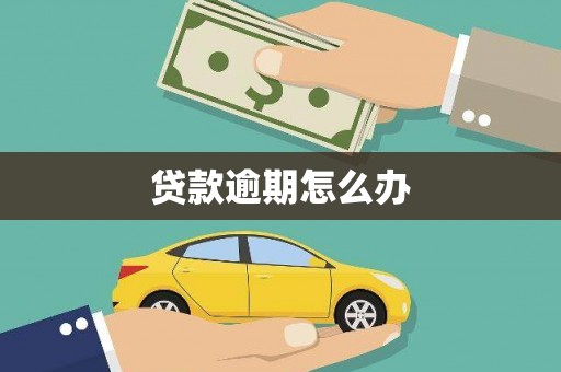温州贷款逾期怎么办
