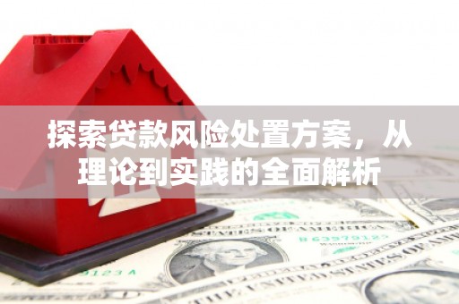 温州探索贷款风险处置方案，从理论到实践的全面解析