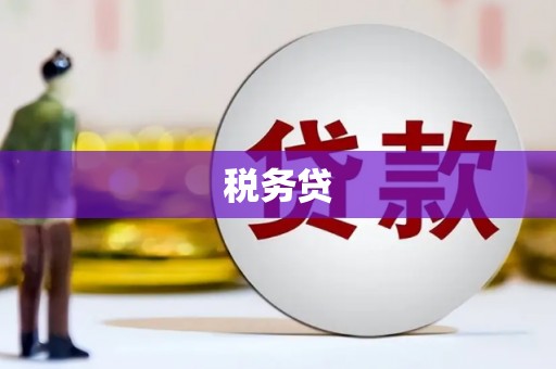 温州税务贷