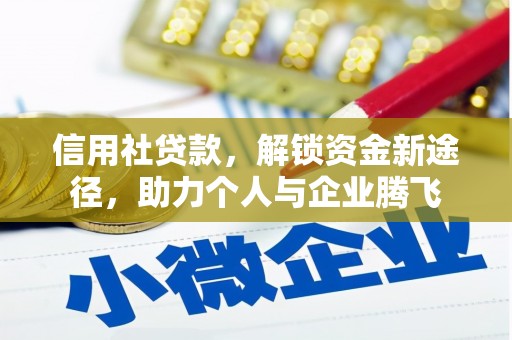 温州信用社贷款，解锁资金新途径，助力个人与企业腾飞