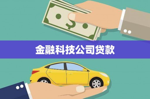 温州金融科技公司贷款