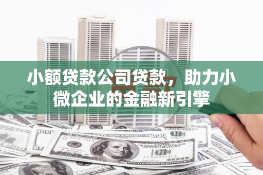 温州小额贷款公司贷款，助力小微企业的金融新引擎