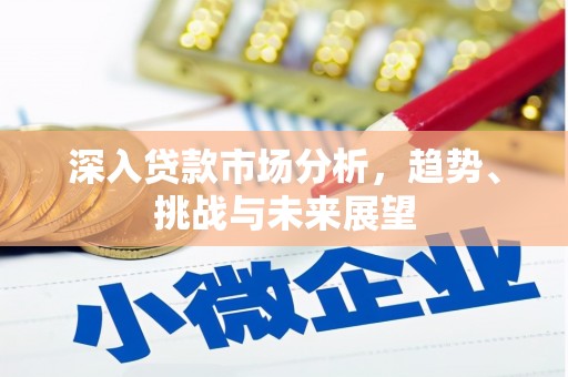 温州深入贷款市场分析，趋势、挑战与未来展望