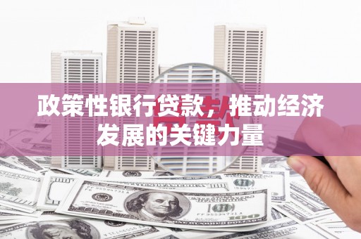 温州政策性银行贷款，推动经济发展的关键力量