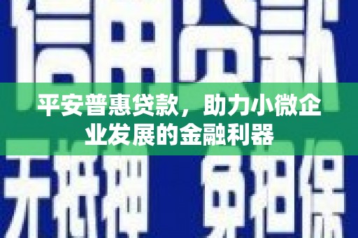 温州平安普惠贷款，助力小微企业发展的金融利器