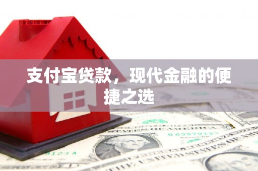 温州支付宝贷款，现代金融的便捷之选