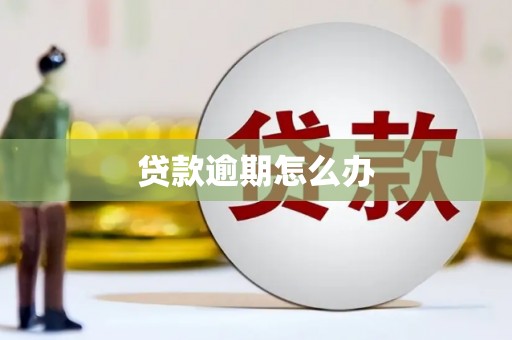 温州贷款逾期怎么办