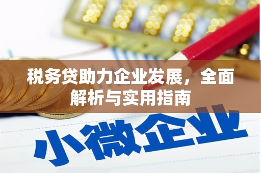 温州税务贷助力企业发展，全面解析与实用指南