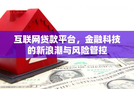 温州互联网贷款平台，金融科技的新浪潮与风险管控