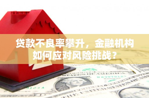 温州贷款不良率攀升，金融机构如何应对风险挑战？