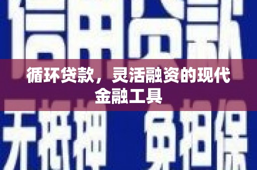 温州循环贷款，灵活融资的现代金融工具