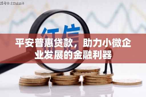 温州平安普惠贷款，助力小微企业发展的金融利器