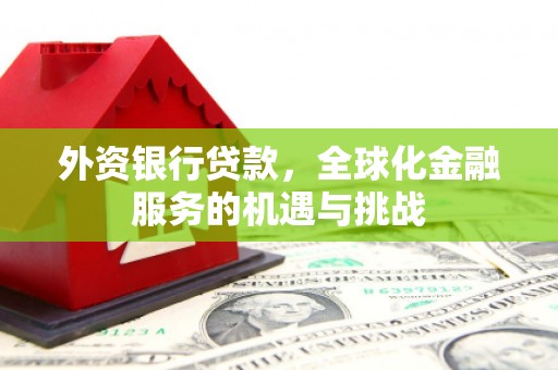 温州外资银行贷款，全球化金融服务的机遇与挑战