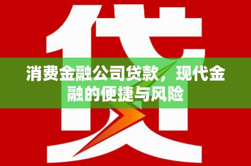 温州消费金融公司贷款，现代金融的便捷与风险