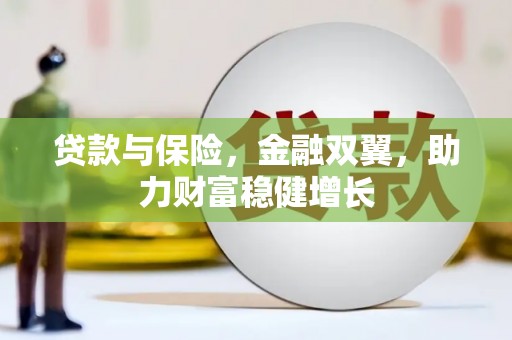 温州贷款与保险，金融双翼，助力财富稳健增长