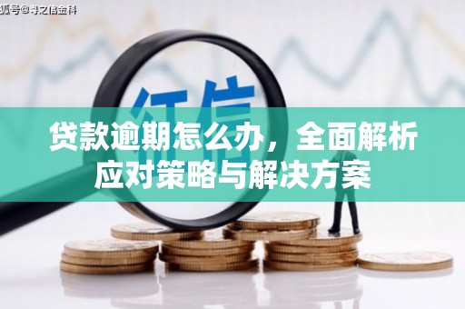 温州贷款逾期怎么办，全面解析应对策略与解决方案