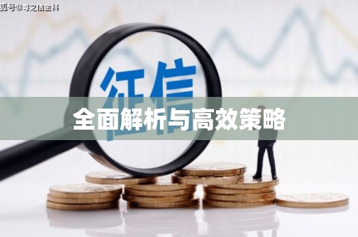 温州全面解析与高效策略