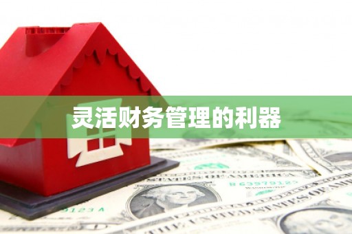 温州灵活财务管理的利器