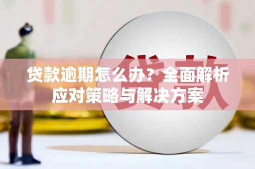 温州贷款逾期怎么办？全面解析应对策略与解决方案