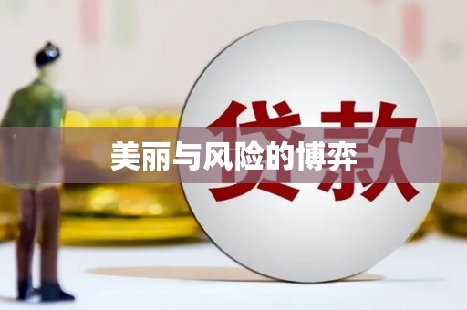 温州美丽与风险的博弈