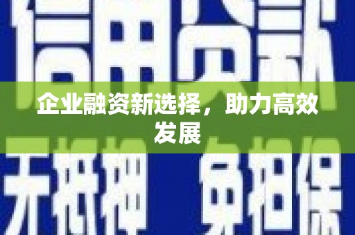 温州企业融资新选择，助力高效发展