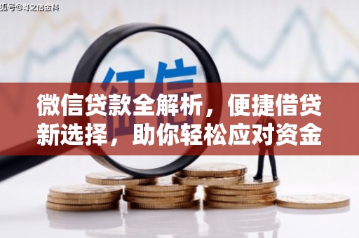 温州微信贷款全解析，便捷借贷新选择，助你轻松应对资金需求