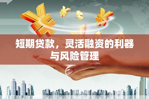 温州短期贷款，灵活融资的利器与风险管理