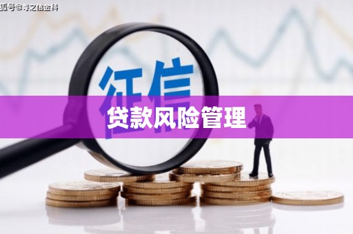 温州贷款风险管理