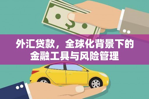 温州外汇贷款，全球化背景下的金融工具与风险管理